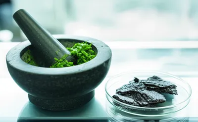 Illustration extracts - Image 1