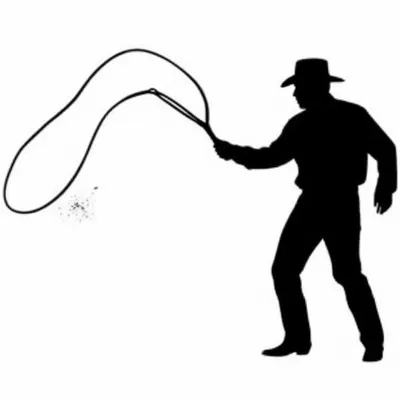 Illustration whips - Image 1