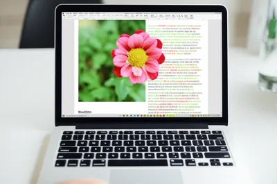 Illustration imbedded - Image 1