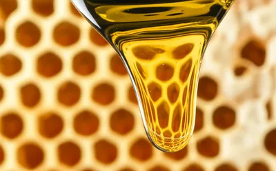 Illustration dripped - Image 1