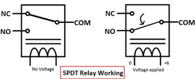 Illustration relay - Image 2