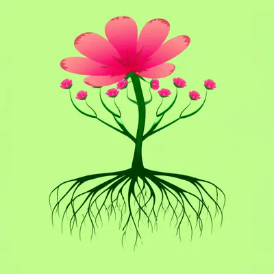 Illustration asexual - Image 1