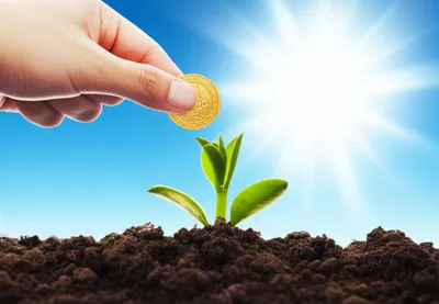 Illustration capitalising - Image 1