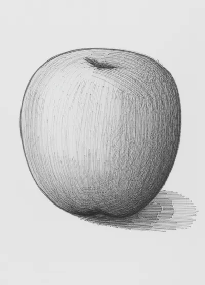 Illustration hatching - Image 1