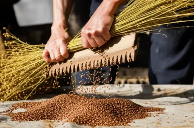 Illustration rippling - Image 1