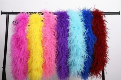 Illustration boas - Image 1