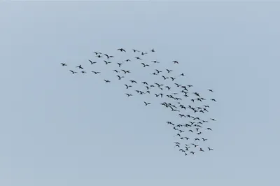 Illustration gap - Image 1