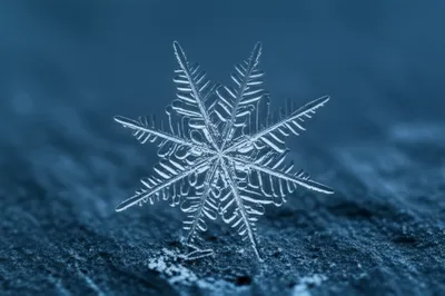 Illustration cold - Image 1