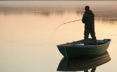 Illustration whipping - Image 1