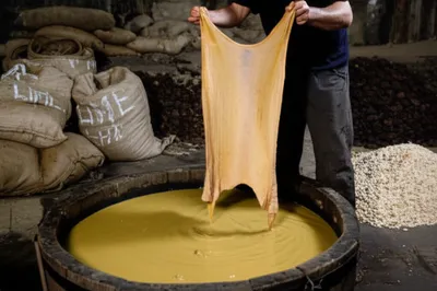 Illustration pure - Image 1