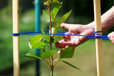 Illustration training - Image 1