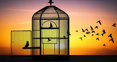 Illustration letting - Image 1