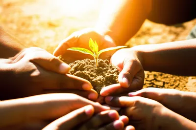 Illustration humanitarianism