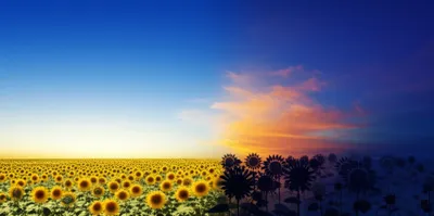 Illustration darkening - Image 1