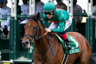 Illustration juveniles - Image 1