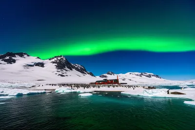 Illustration antarctic - Image 2