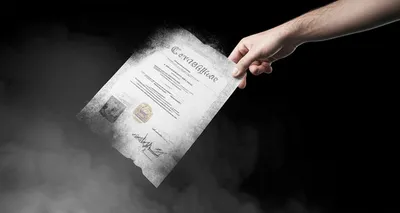 Illustration revoking - Image 1