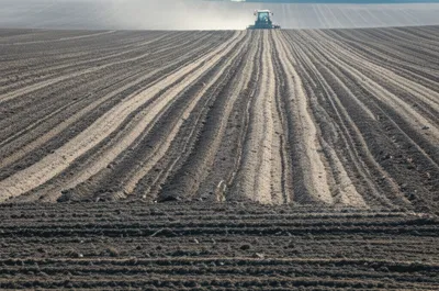 Illustration ploughs - Image 1