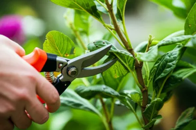 Illustration slipped - Image 1