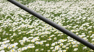 Illustration strict - Image 1