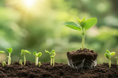 Illustration running - Image 1