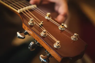 Illustration drops - Image 1