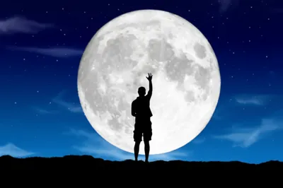 Illustration shot - Image 1