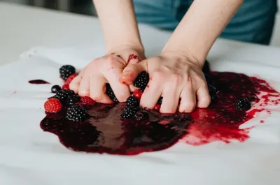 Illustration mushing - Image 1