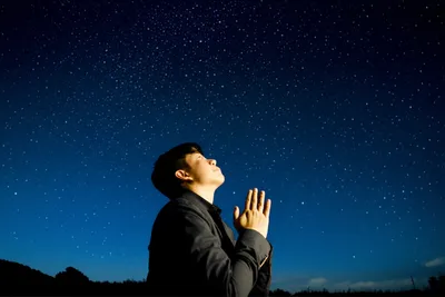 Illustration adoration - Image 1