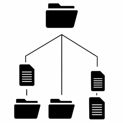 Illustration root - Image 1