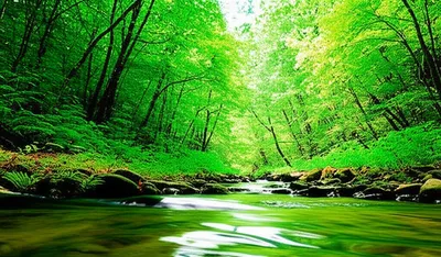 Illustration naturalness