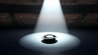 Illustration showed - Image 1