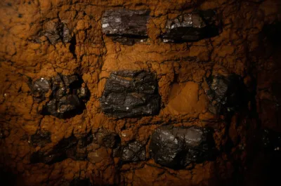 Illustration binds - Image 1