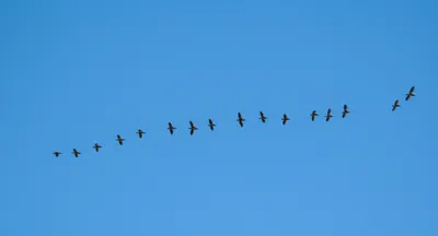 Illustration keeping - Image 1