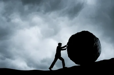 Illustration bear - Image 1