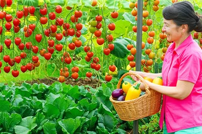 Illustration prof - Image 1