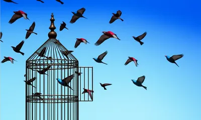 Hình ảnh minh họa releases - Ảnh 1