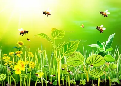 Illustration fecundating