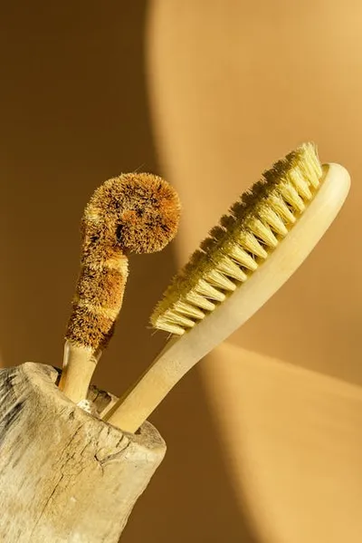 Illustration untreated - Image 2