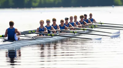 Illustration stroked - Image 1