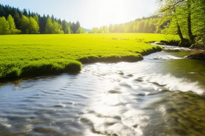 Illustration moderato - Image 1