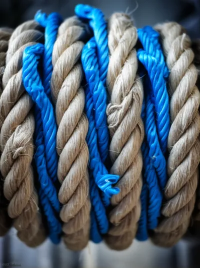 Illustration snakes - Image 1