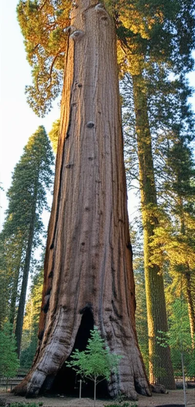 Illustration durative - Image 1