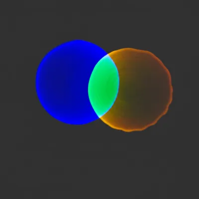 Illustration coterminous - Image 1