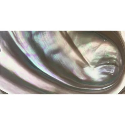 Illustration pearls - Image 1