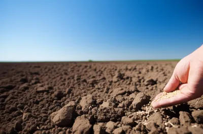 Illustration tilled - Image 1