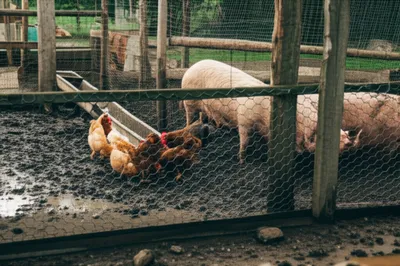 Illustration crews - Image 1