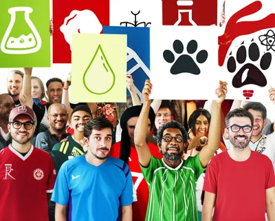 Illustration constituency - Image 1