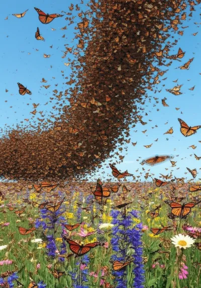 Illustration nomads - Image 1