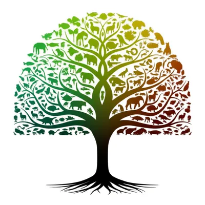 Illustration primitive - Image 1